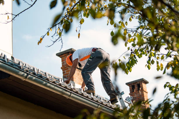 Steel Roofing in Oak Harbor, OH